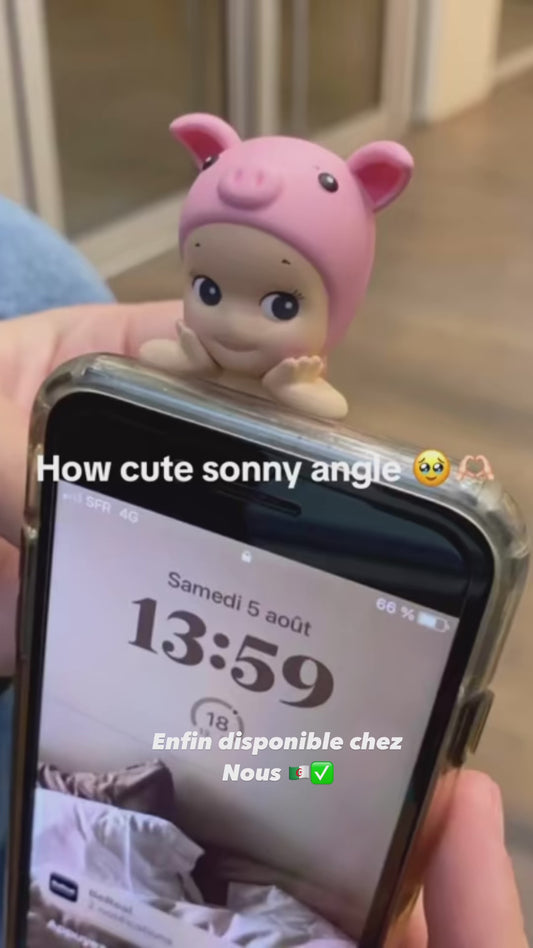 Sonny Angel 👼